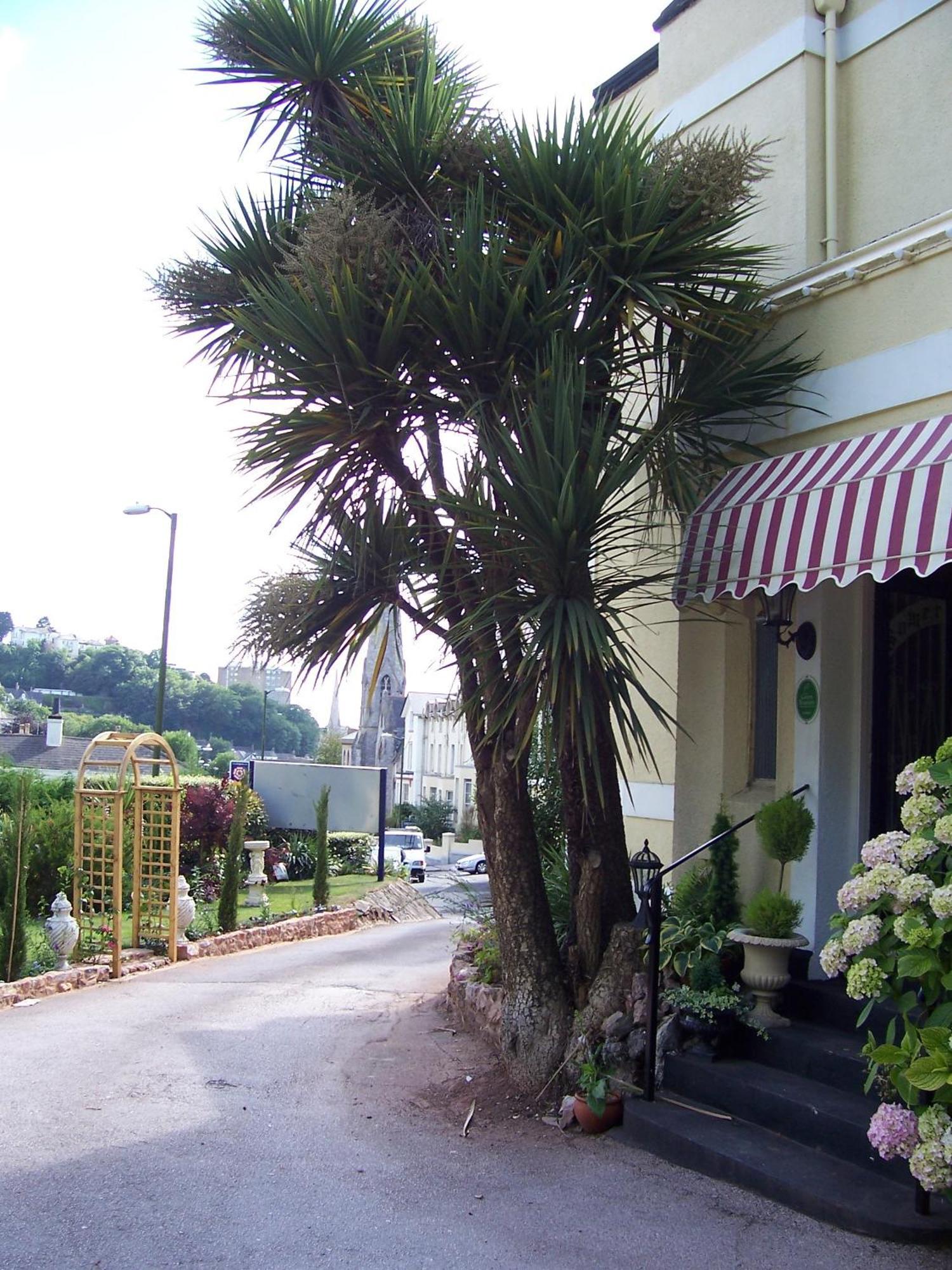 The Somerville Torquay Ngoại thất bức ảnh